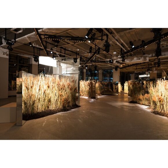 Rare COACH 1941 DINNER PLATES from FASHION WEEK DINNER 2015 by Fernando Aciar - Picture 6 of 6